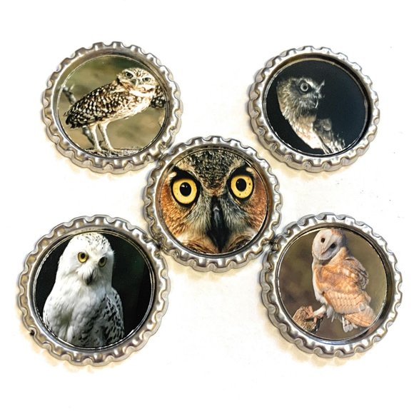 Owls Magnet Set - Picture 1 of 1